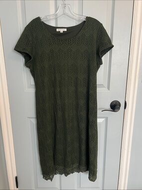 DownEast Olive Green Lace Midi Dress